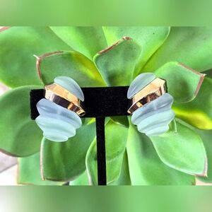 Vintage Avon 1989 "Frosted Coolers- Blueberry Color " Clip-On Earrings